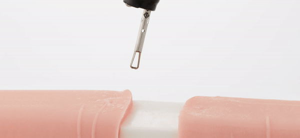 Mantis Clip animation