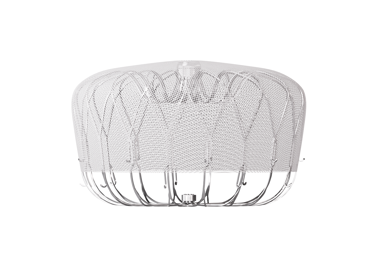 Old patient holding hand of doctor.