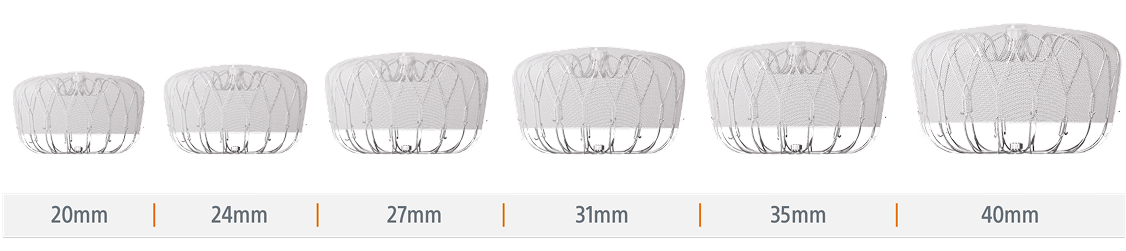 *Devices not shown to scale