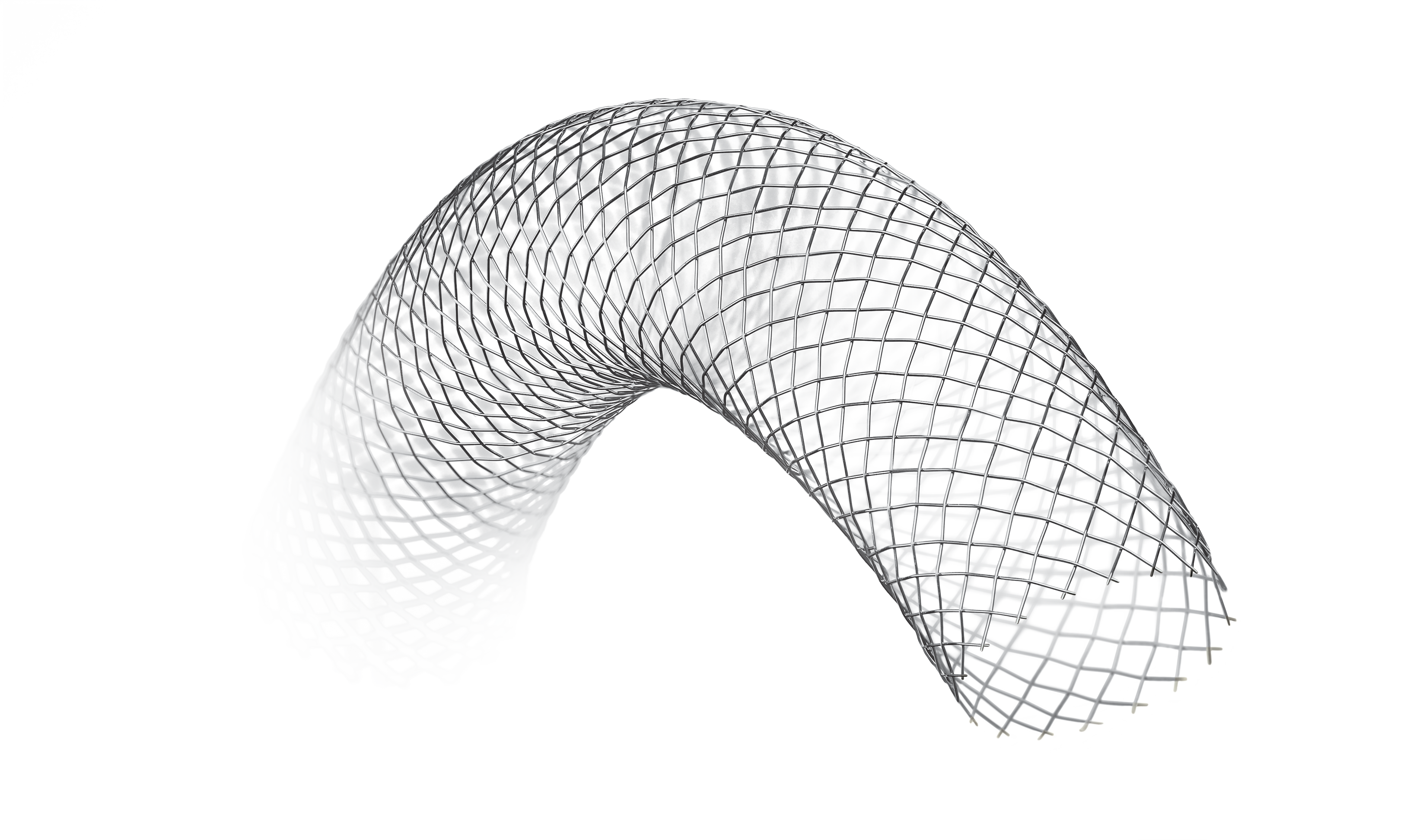 WALLSTENT™ Endoprosthesis  