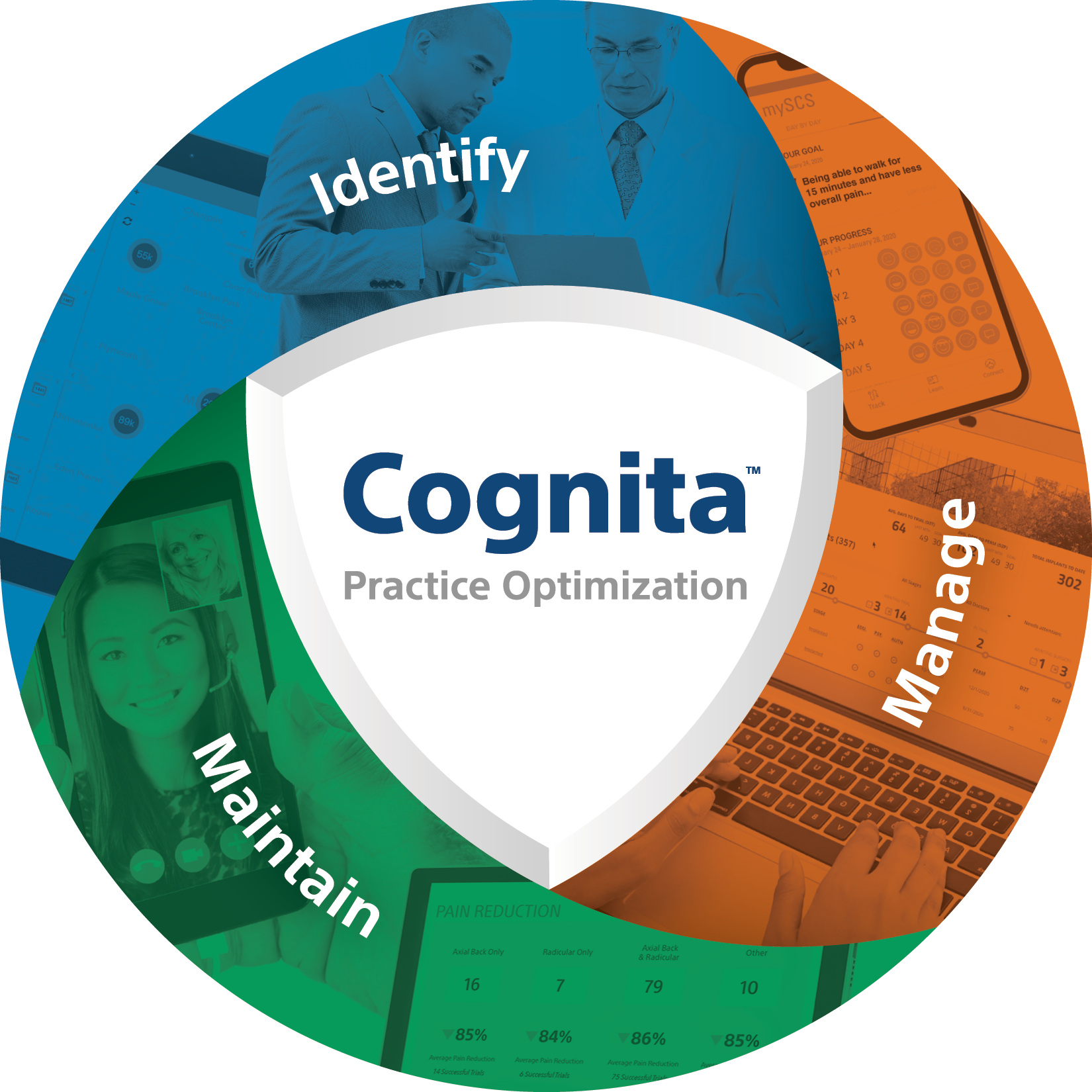 Cognita Practice Optimization in a circle with sections reading identify, manage and maintain.