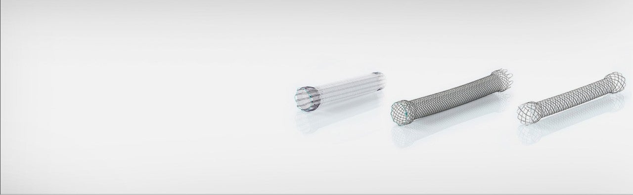 Boston Scientific Esophageal stent family 
