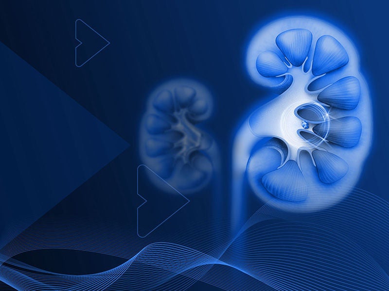 View our Scope Portfolio
