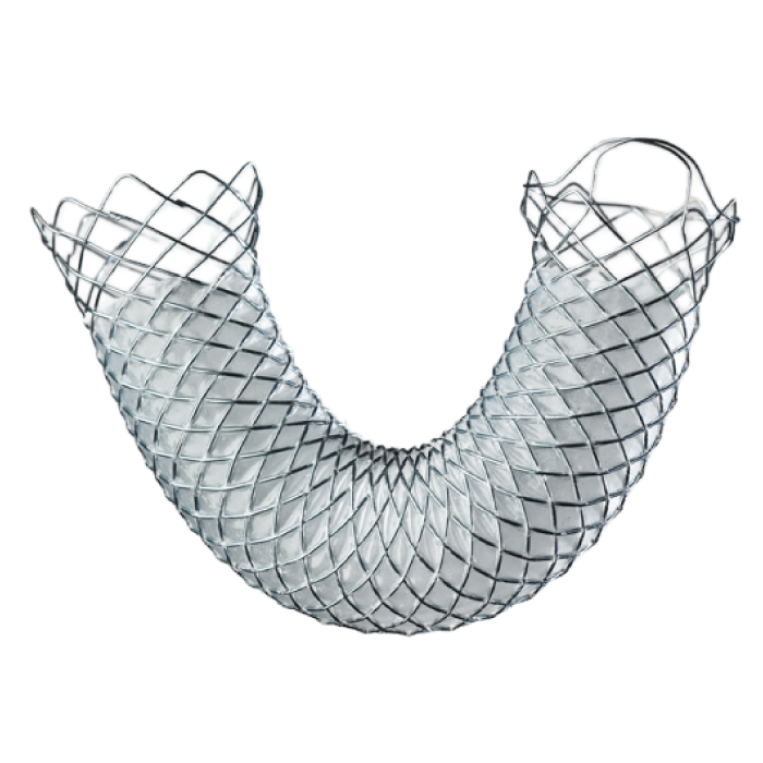 Stents