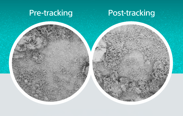 AGENT™ DCB Paclitaxel Drug.