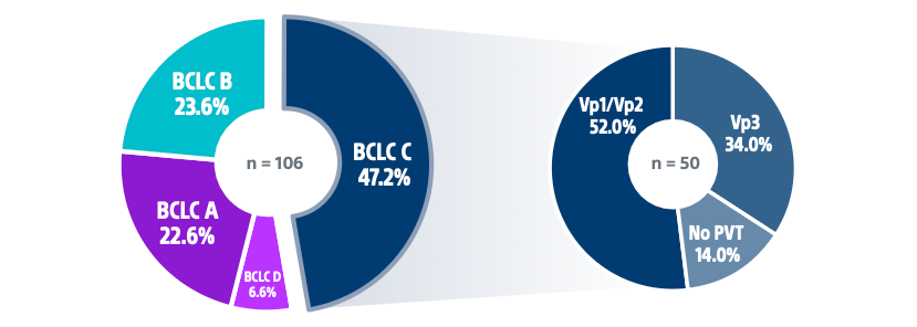 pie charts showing percentage of patients in BCLC stages and Vp1/Vp2, Vp3 and No PVT.