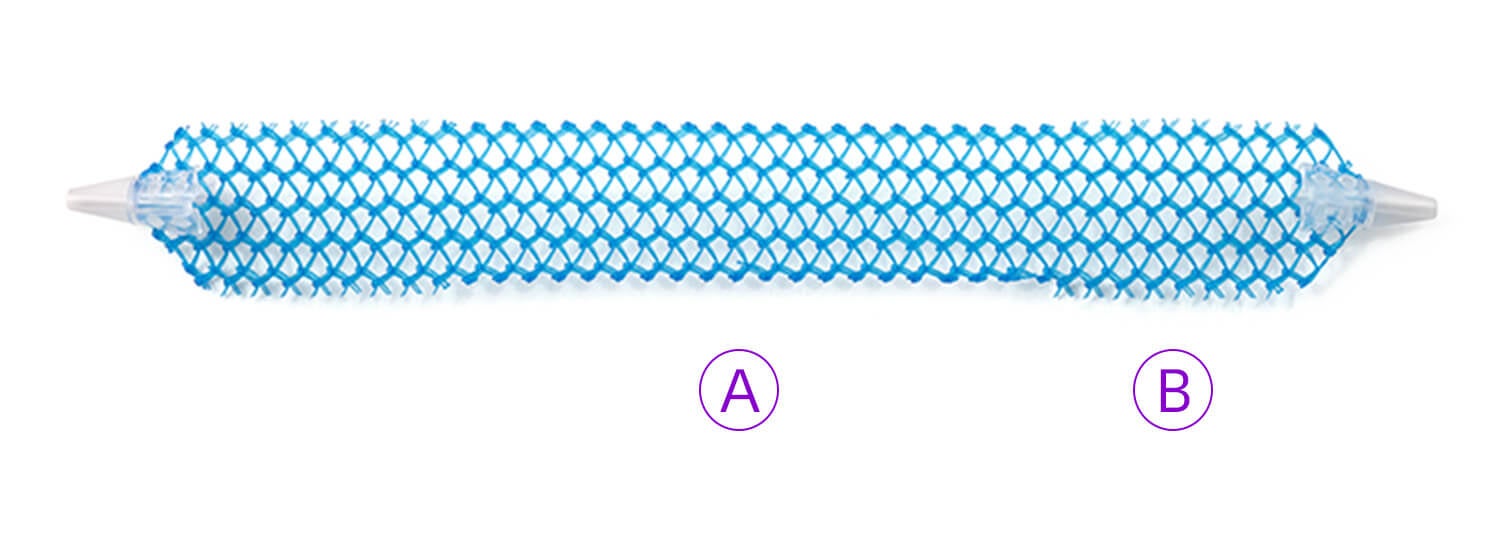 Solyx mesh showing tanged and detanged edges.