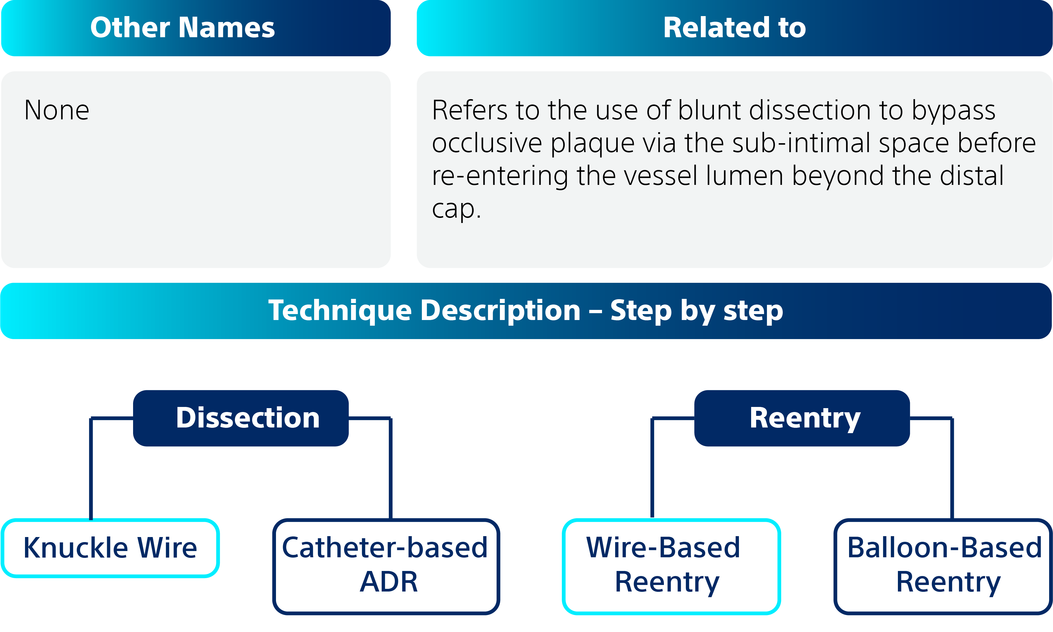 Refers to the use of blunt dissection to bypass occlusive plaque via the sub-intimal space before re-entering the vessel lumen beyond the distal cap