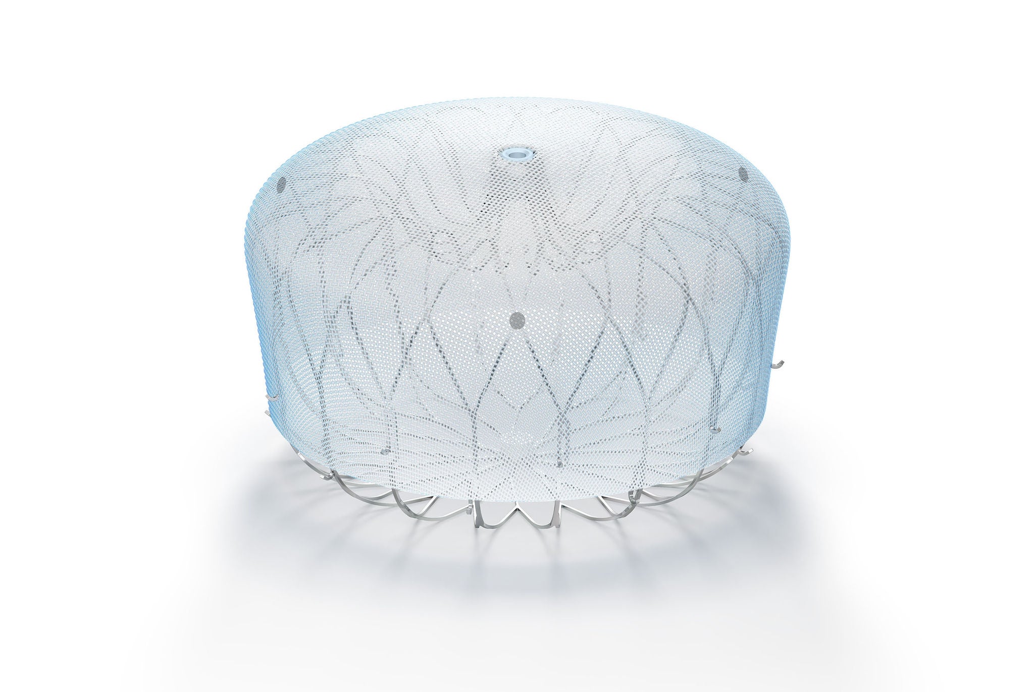 보스톤사이언티픽 왓치맨 플렉스 프로