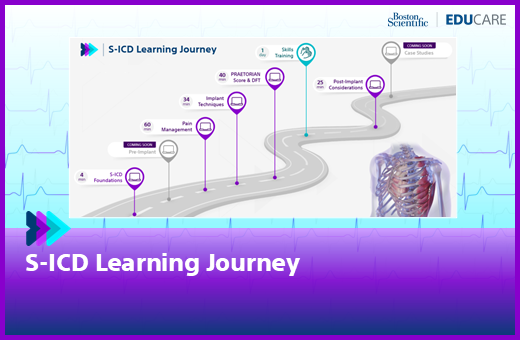 S-ICD learning journey.