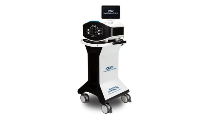 Peripheral Interventions - Boston Scientific