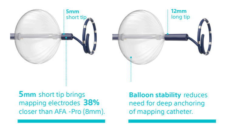 POLARx Family Cryoablation Catheters