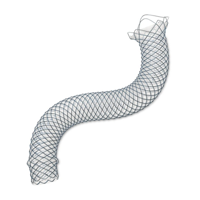 Stents