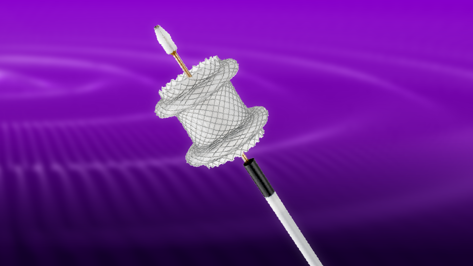 Access in ERCP