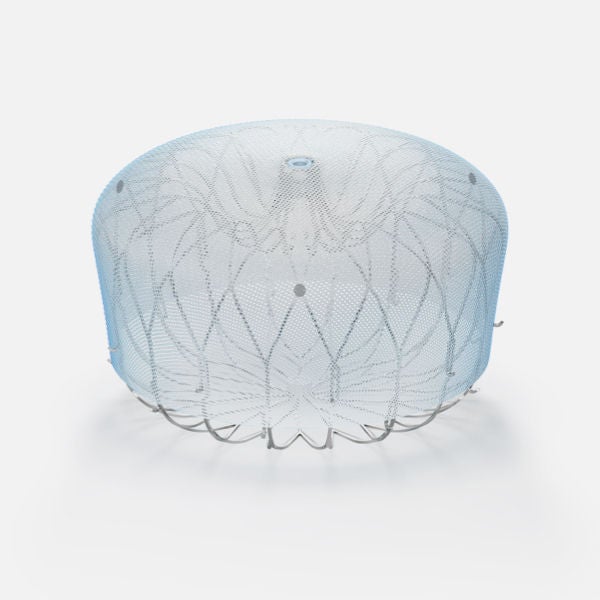 Boston Scientific WATCHMAN FLX Pro device.