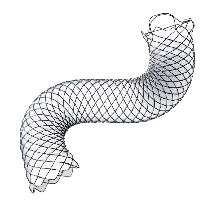 Stents
