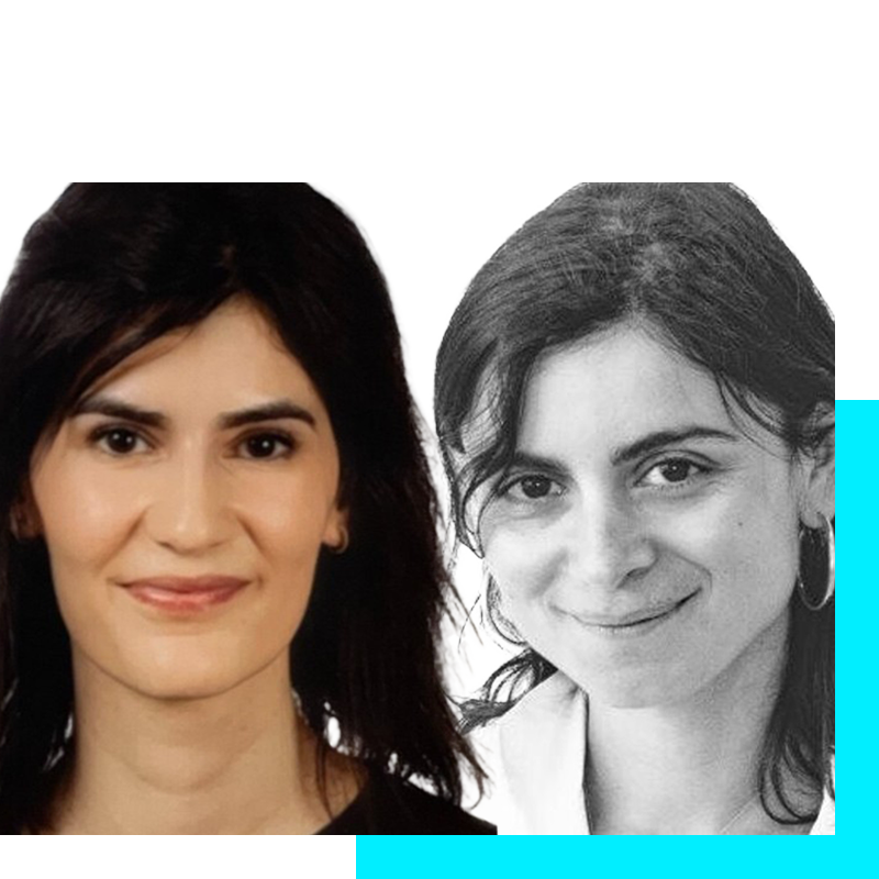 Speakers: Prof. Marie Faruch Bilfeld and Dr. Ylenia Navarro Monforte 