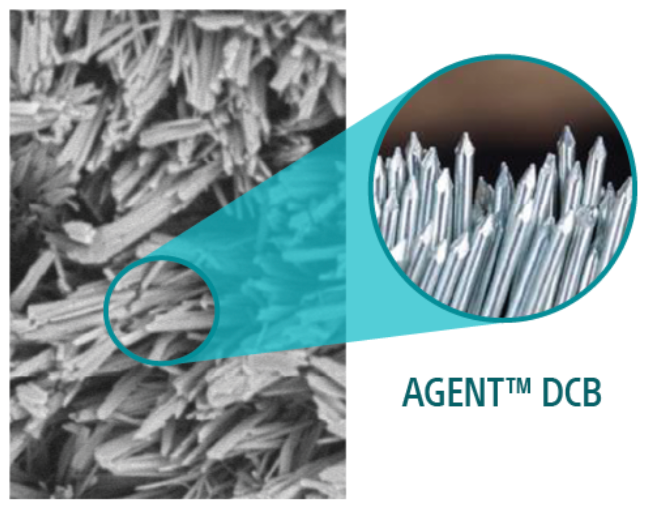 AGENT: Sharp-edge Paclitaxel.