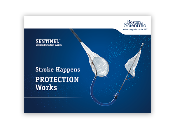 SENTINEL Product Brochure Thumbnail