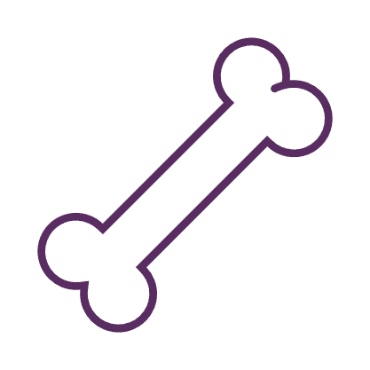 dissection icon