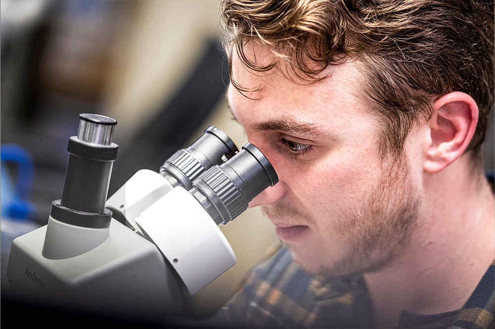 Scientist working with laboratory microscope equipment.
