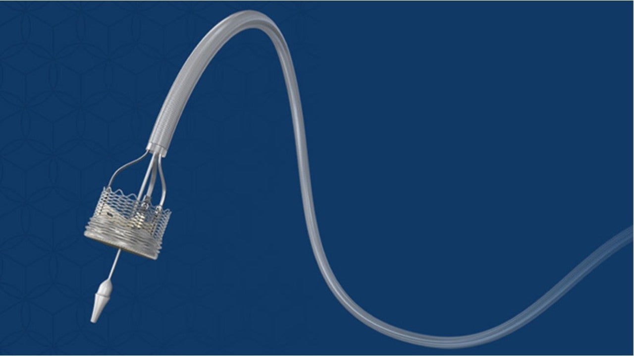 LOTUSEdge™ Aortic Valve System