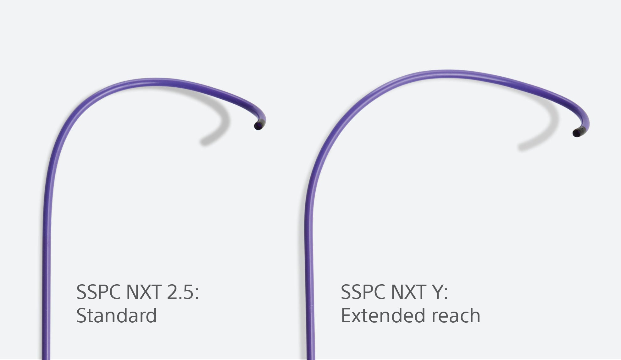 Photo of two purple site selective pacing catheter NXT curved ends, shapes 2.5 and Y.