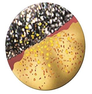 20μm diamond grit (5μm exposed).