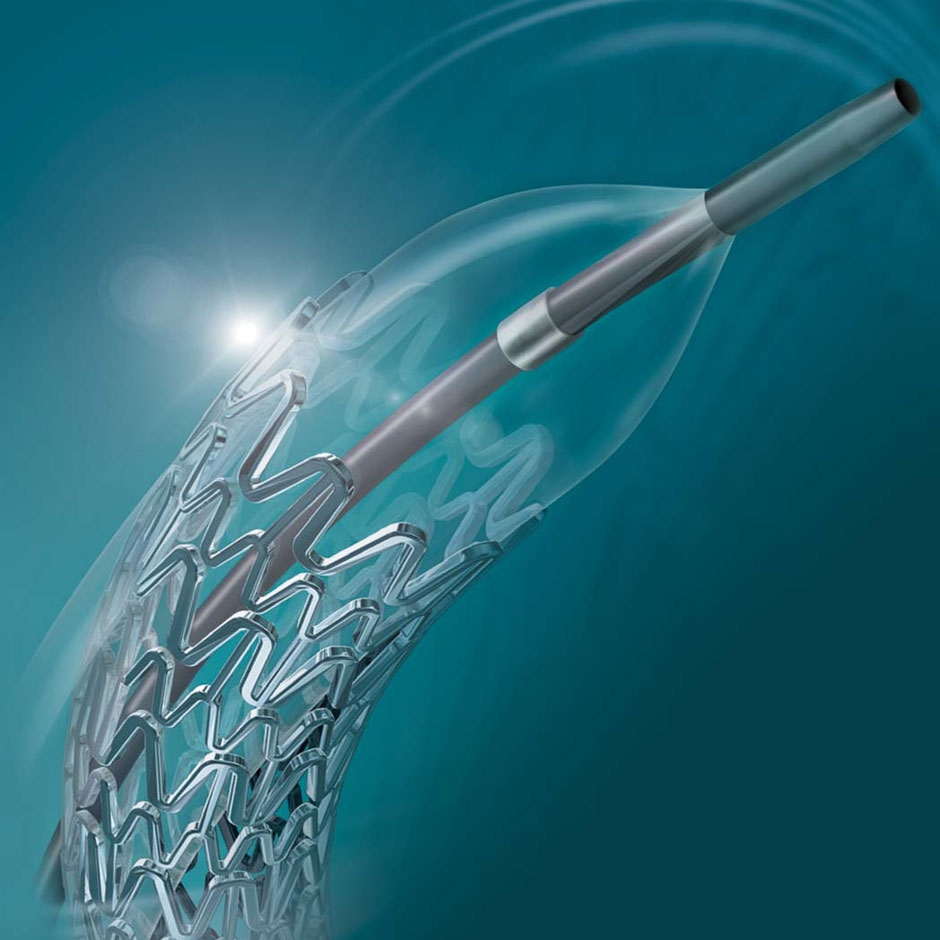 Express™ Biliary LD Premounted Stent System