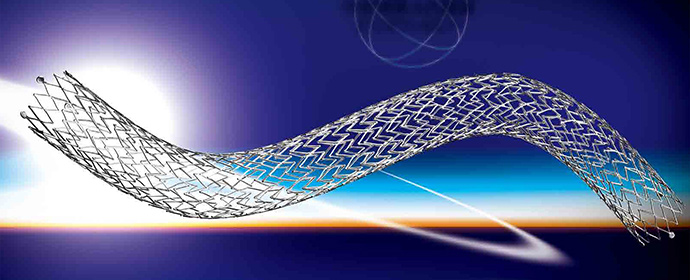 エピック バスキュラーステント