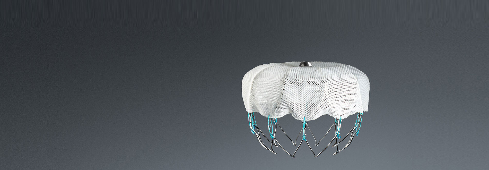 ストラクチャーハート