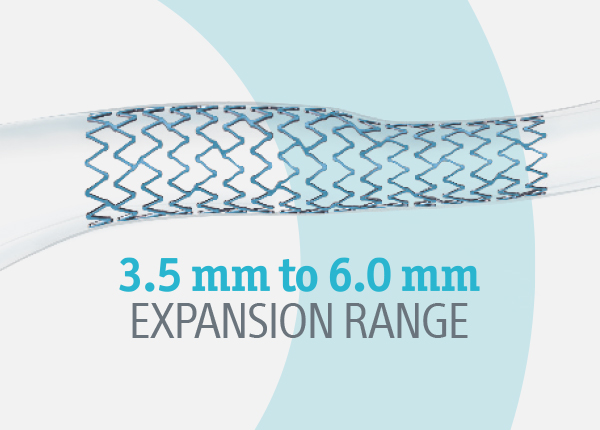 3.5 mm to 6.0 mm expansion range