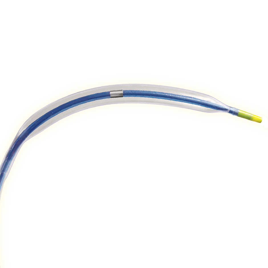 Apex ptca dilatation catheter