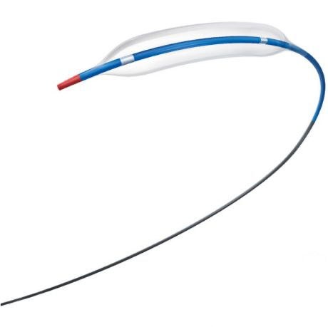 EMERGE PTCA Dilatation Catheter