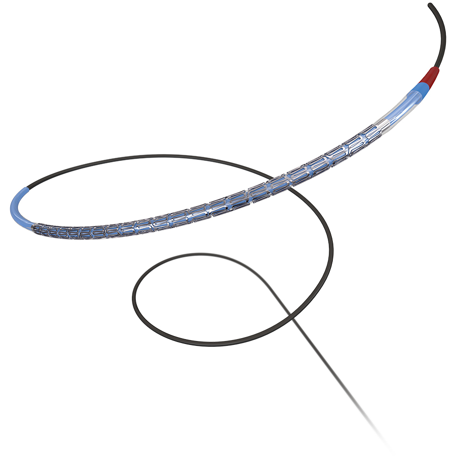 Enhanced delivery system of the Promus ELITE Stent System.