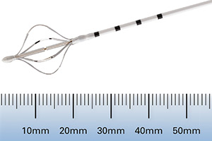 BT_catheter_size_thumb.jpg