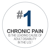Number 1: chronic pain is the leading cause of adult disability in the U.S.