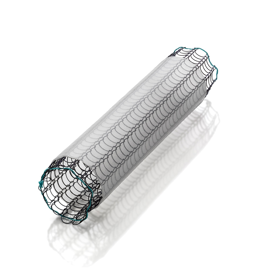 Image of stent with silicone covering