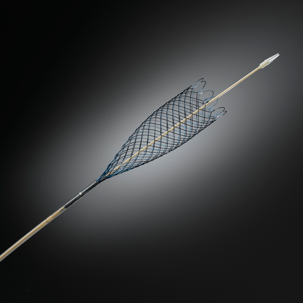 Image demonstrating stent recapture