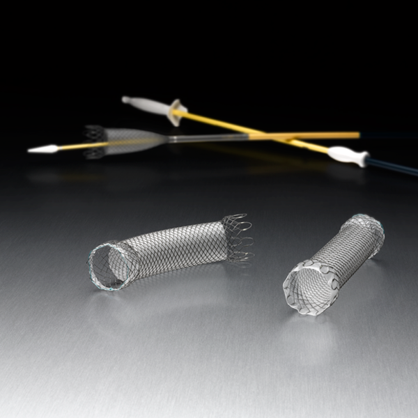 WallFlex Esophageal Stents 