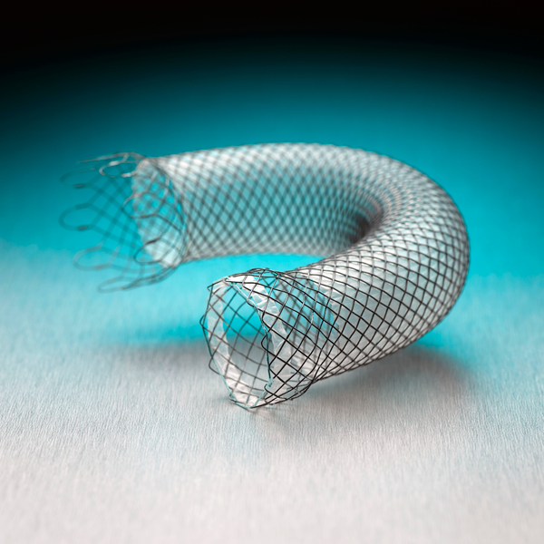 Image showing stent flared ends