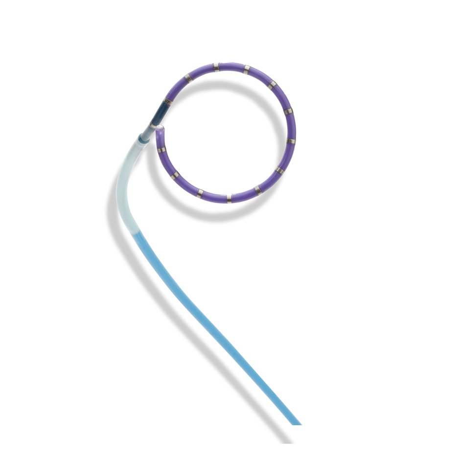Orbiter™ PV Variable Loop Mapping Catheter