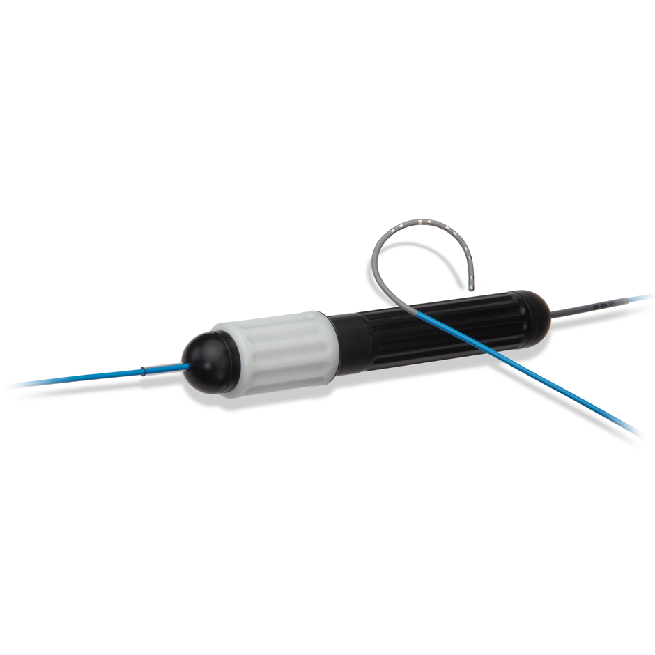 EP XT™ Steerable Diagnostic Catheter