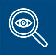 Directsense Magnifying Glass Icon