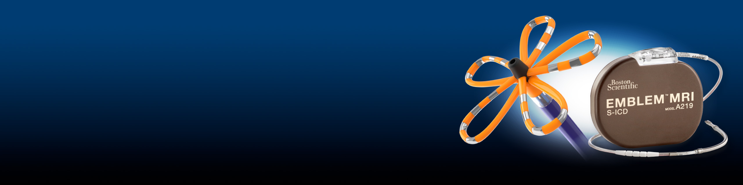 Electrophysiology Boston Scientific