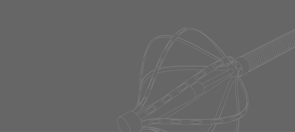 OPAL HDx™