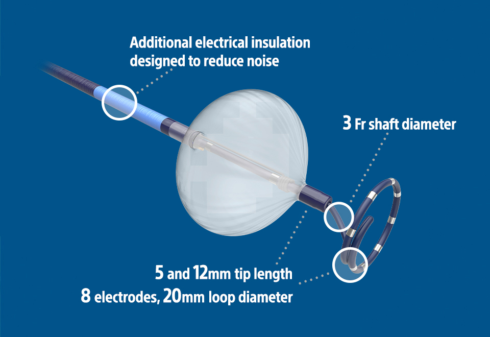 Cryoballoon with measurements.