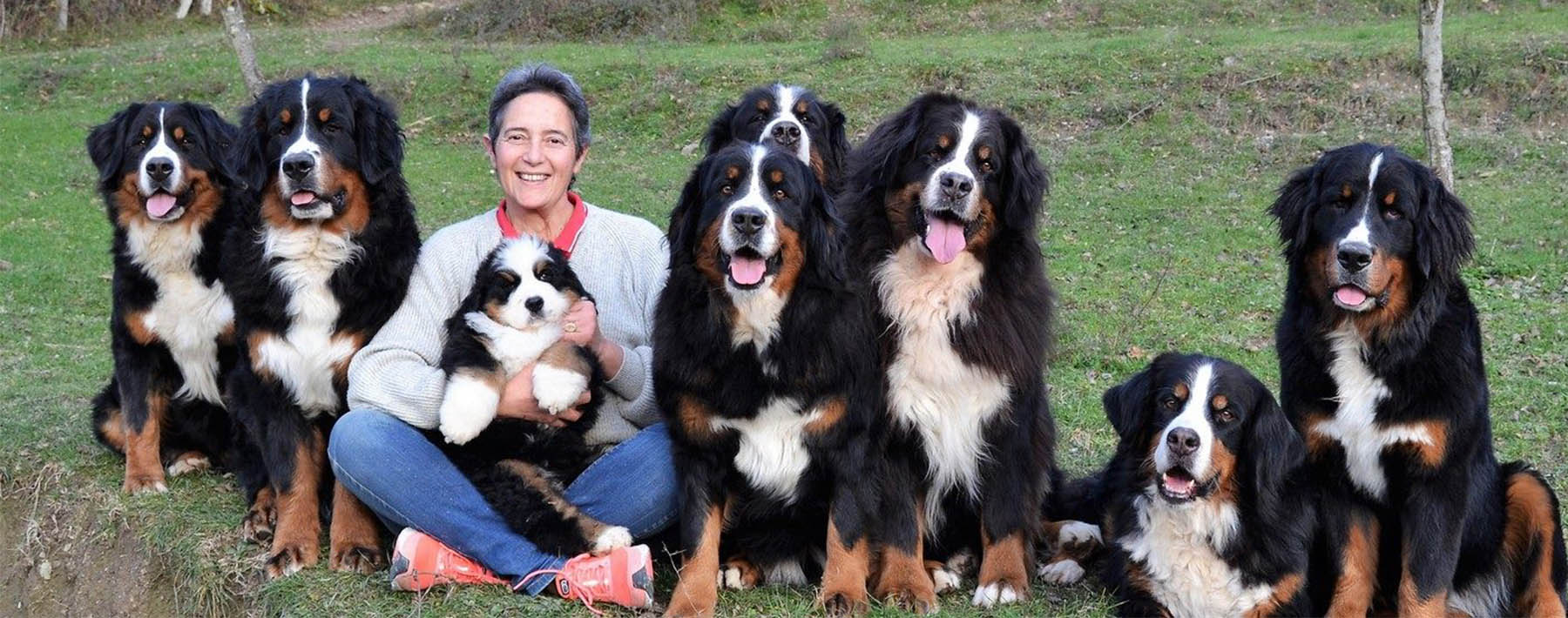 Smiling lady with dogs