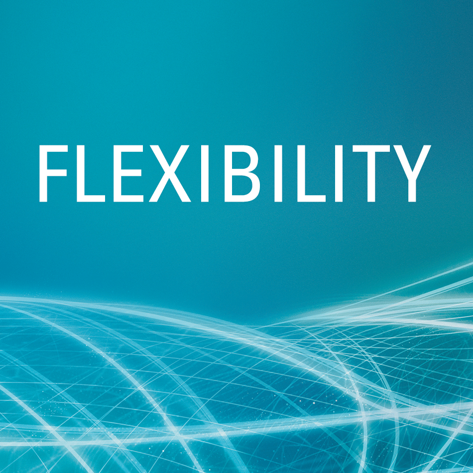 The word flexibility on a teal background with an abstract pattern