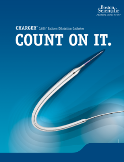 Charger Brochure